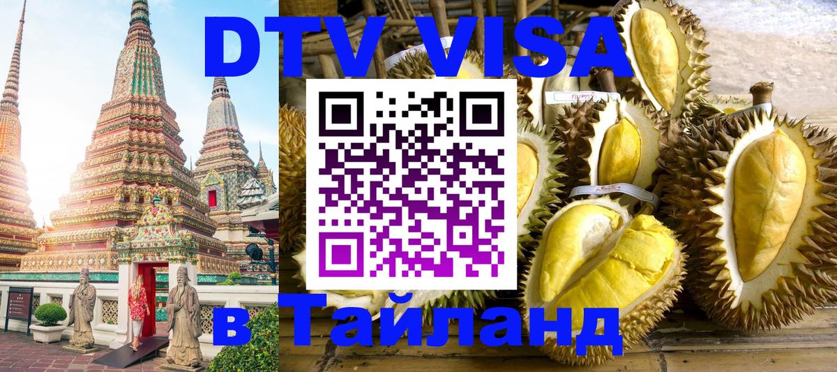 Оформление DTV визы под ключ: стоимость и тарифы, только загранпаспорт - Мурино  18.11.2025 